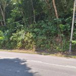 Tanah Pertanian Kampung Bukit Jelebu Negeri Sembilan