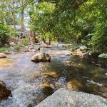 Ulu Kongsor Kuala Kangsar