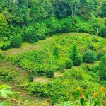 Kramat Pulai Simpang Pulai