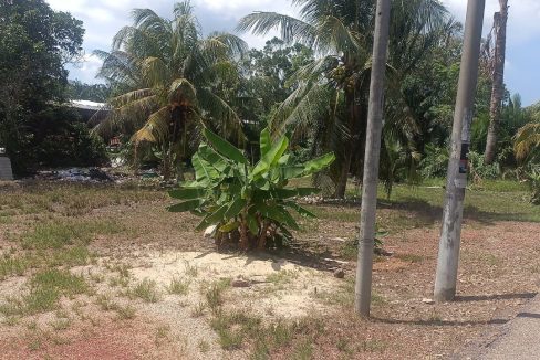Tanah Serom Tangkak Johor