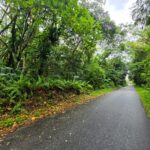 Tanah Kampung Pahang Tapah Perak