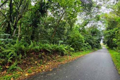 Tanah Kampung Pahang Tapah Perak
