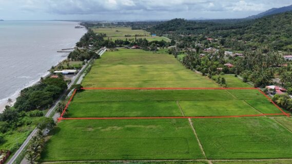 Tanah Ruat Yan Kedah